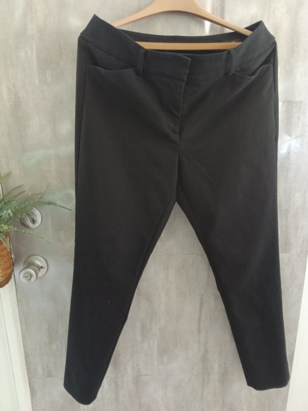 LOFT Julie Skinny Pants size 8